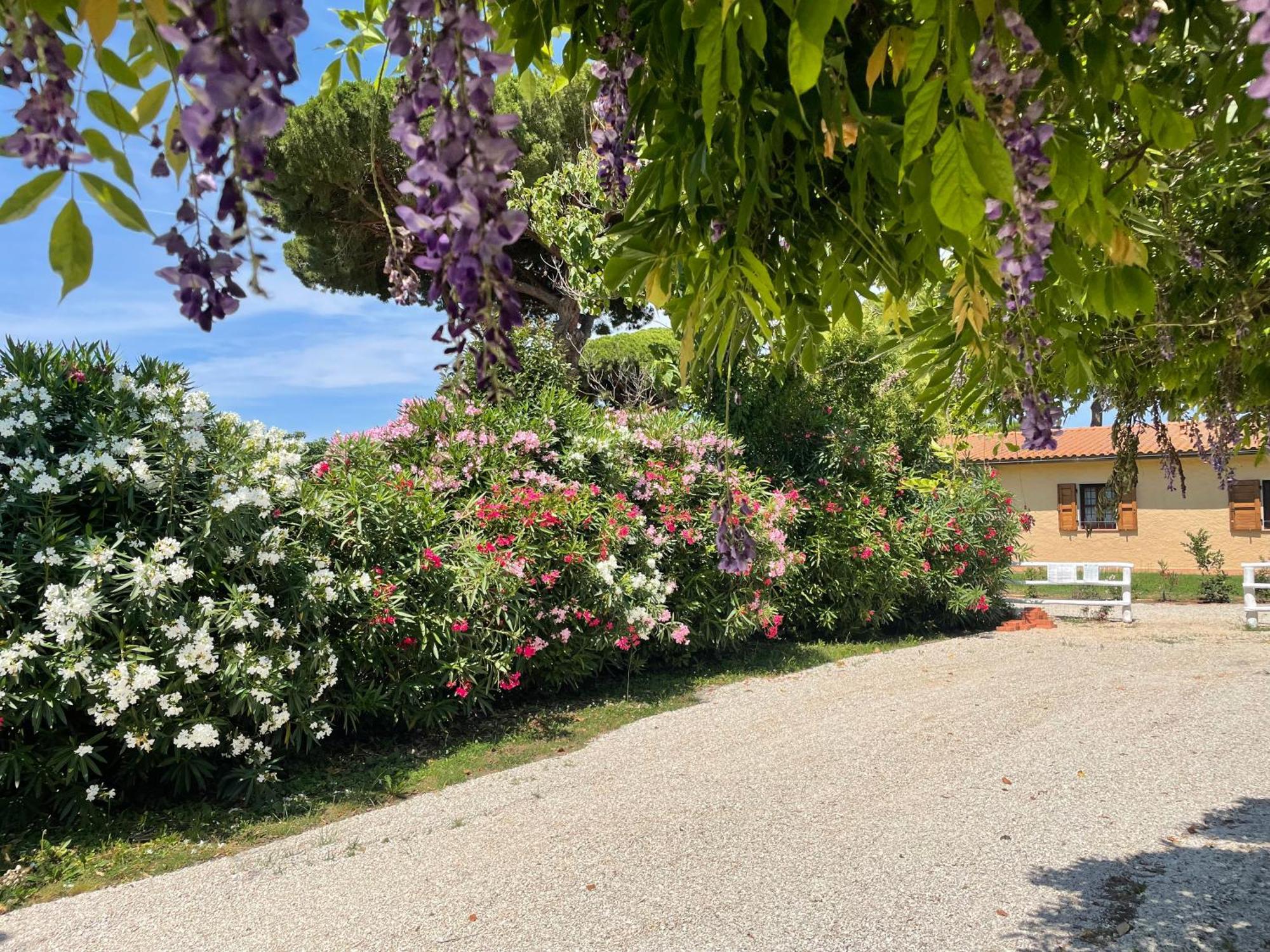 Agriturismo La Valle - By Podere Arundineto Castagneto Carducci Εξωτερικό φωτογραφία