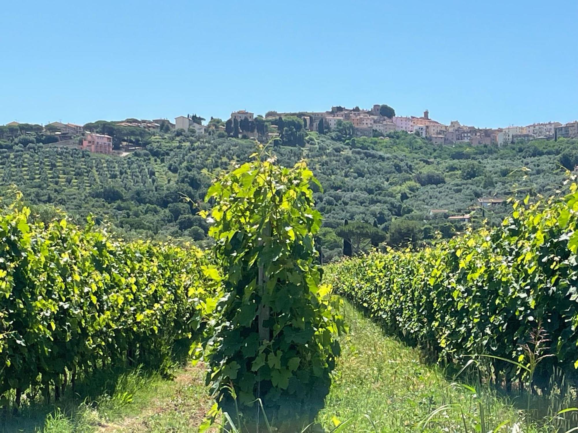 Agriturismo La Valle - By Podere Arundineto Castagneto Carducci Εξωτερικό φωτογραφία